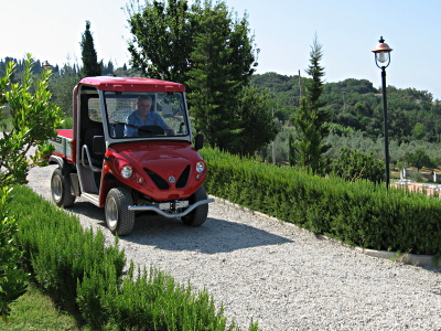 electric vehicles private parks