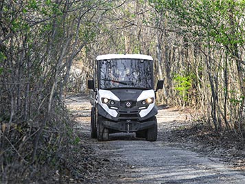 Woods off road electric utv